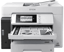 Driver Epson M15180
